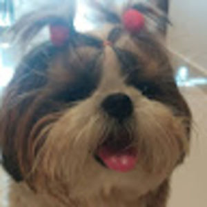 Meet your Posher, Amelia-ray